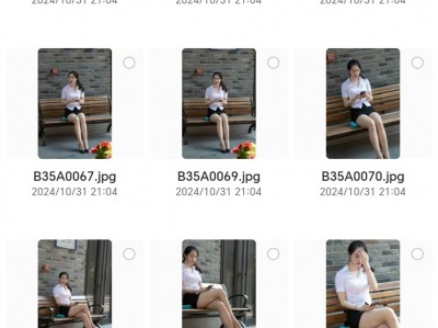 花了很大力气才筹集来的高清套图60G,价值4999